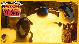 Lights Out - Shaun the Sheep [Full Episode]