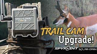 Spypoint Cell Link Review - Any trail cam = smart cam!