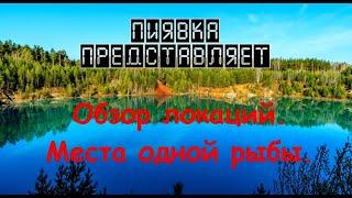 ОБЗОР ЛОКАЦИЙ  Места ловли  1 рыбы. #MyFishingworld