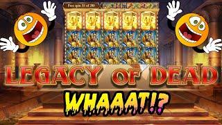 Legacy of Dead Big win Book Of ra | Zanos 84 spins