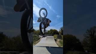 vertical #bmx #turndown #skatepark #tricks