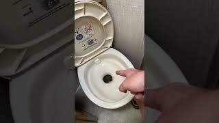 How to flush an RV Toilet.  2020 Coachmen Leprechaun 230CB.