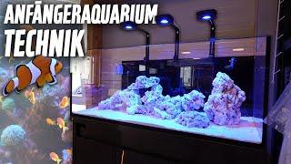 Technik für ein MEERWASSERAQUARIUM - Unsere Tipps auch für Anfänger I PlanktonPlus Aquaristik