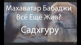 Махаватар Бабаджи всё ещё жив? Садгуру