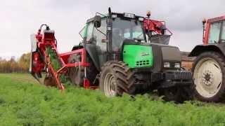 Carrot harvester DEWULF P3K PROFI with elevator  - Andershornstein AB Sweden