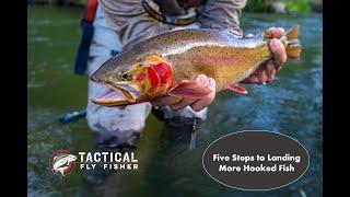 Five Steps to Landing More Fish