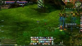 Aion 5.0 cheat