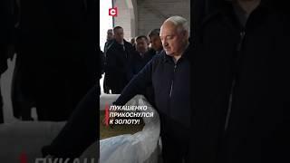 Лукашенко прикоснулся к белорусскому золоту! #лукашенко #новости #политика #беларусь #shorts