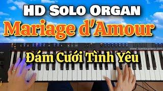 Đám Cưới Tình Yêu - Hướng Dẫn Solo Organ - Cách Tự Học Dễ Nhất Cho Người Lớn Tuổi. Tuan Luu Organ