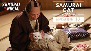 Samurai Cat Full Episode 12 | SAMURAI VS NINJA | English Sub