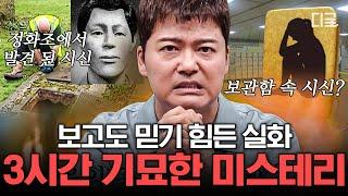 [#프리한19] (3시간) 아직도 풀리지 않은 미스터리 흔적도 없이 미궁 속으로 사라진 충격 실화! | #편집자는