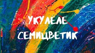 УКУЛЕЛЕ Семицветик #9