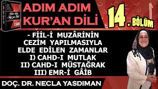 Adım Adım Kur'an Dili Kitabından 14.BÖLÜM (Sayfa 141-149 Arası) Necla Yasdıman ile Arapça Dersleri