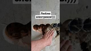 Супер электрик 80 уровня