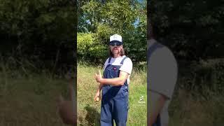 Ted Boogie: The Bait Slinger