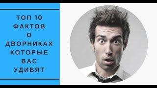 ТОП 10 ФАКТОВ О ДВОРНИКАХ КОТОРЫЕ ВАС УДИВЯТ