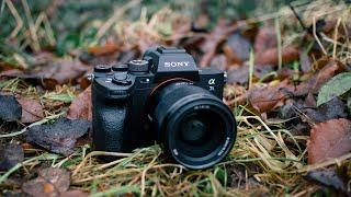 Sony A7S III | One Year Later [+ FREE LUT - 24 Hours Only!]