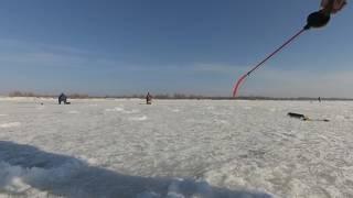 р Волга, остров Соколинка  15.03.2017г. за судаком