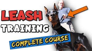 How to Leash Train a Doberman the RIGHT Way