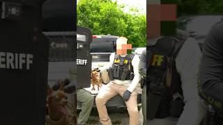 Chihuahua Becomes Newest Police K9 - Funny Moment Caught on Camera!  #shorts