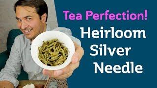 BEST SILVER NEEDLE? Heirloom Silver Needle White Tea