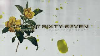 Patient Sixty-Seven - Hibbertia (New Song 2023)