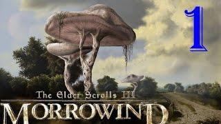 [1] TES III Morrowind  [Fullrest Repack] Начало