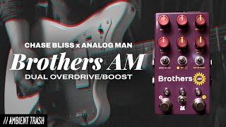 Chase Bliss - Brothers AM Overdrive/Boost // Full Demo