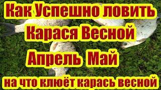 Как Успешно ловить Карася весной На что клюет  Карась Весной в Апреле и в Мае Насадка на карася