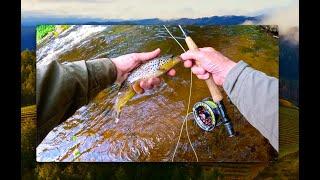 Fly Fishing with Davie McPhail August 2024