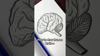 Tutorial: How to draw human Brain #trending #Shorts