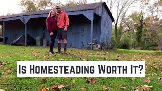 What We Learned Our First Year Homesteading