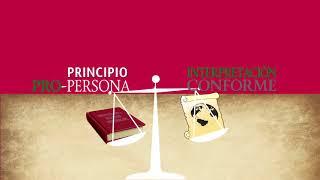 Reforma Costitucional 2011 Derechos Humanos