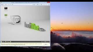 Installing VMware Tools on Mint Linux v17x