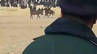 Улок купкари бешарик
