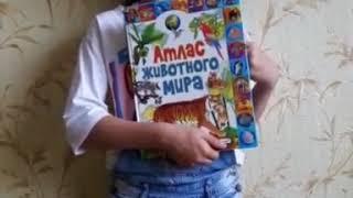 Познавательная книга