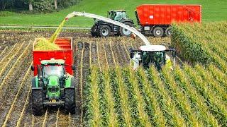 Mais 2024 | Claas Jaguar 970 + 12 Rows | 2x Deutz Fahr 7250 TTV | Peters Haps