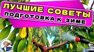 ОСЕННИЕ ОБРАБОТКИ деревьев и грядок: лучшие видео про секреты подготовки к зиме