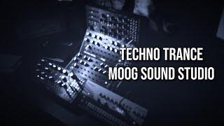 Techno Trance | Moog Mother-32 | Subharmonicon | DFAM (Tr-06)