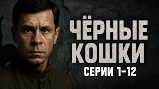 МАЙОР ДРАГУН ПРОТИВ ДИВЕРСАНТОВ! ЧЁРНЫЕ КОШКИ | ВСЕ СЕРИИ