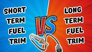 Short Term and Long Term Fuel Trims Explained [LIVE]