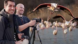 Une journée avec @DamienBernal : Photo animalière