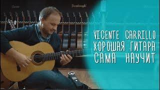 Хорошая гитара сама научит играть. Vicente Carrillo, Palo Santo. Александр Родовский / gitaraclub.ru