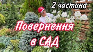 2 частина.Повернення в САД.