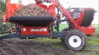 Dewulf GBC carrot harvester harvesting parsnips