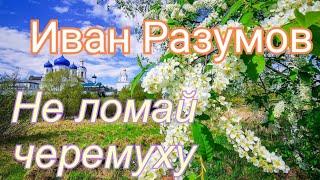 Иван Разумов - Не ломай черемуху  зажигательная песня 