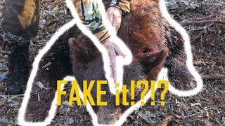 HOW TO MAKE A BEAR'S HEAD LOOK BIGGER! - The Fake Crease