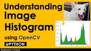 UNDERSTANDING IMAGE HISTOGRAM USING OPENCV IN PYTHON | PYTHON TUTORIAL 2023