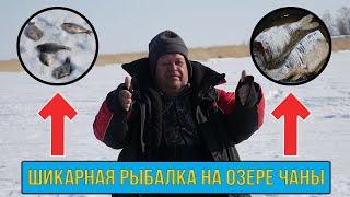 Шикарная ЗИМНЯЯ рыбалка на озере Чаны! Конец марта 2019! РЫБАЛКА С НОЧЕВКОЙ И КОМФОРТОМ!