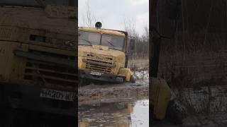 Его вообще реально засадить?? #краз #грузовик #6х6 #offroad #бездорожье #не_тормози